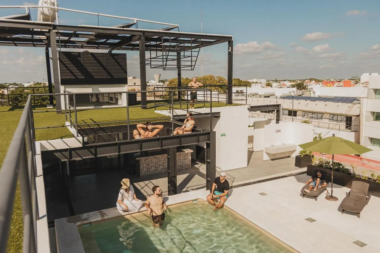 Caleta Hostel Rooftop & Pool Cancún