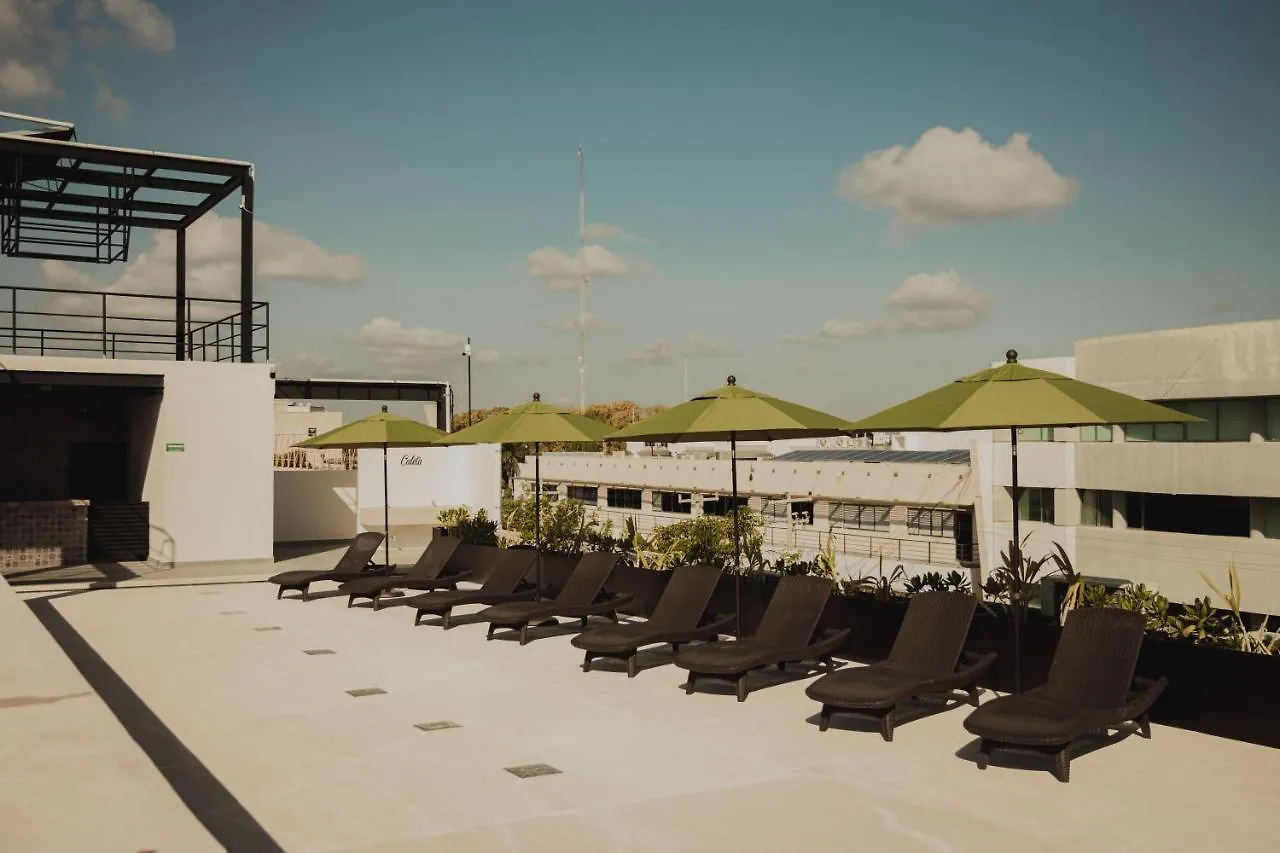 Caleta Hostel Rooftop & Pool Cancún Mexiko